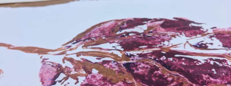 close up van drogende placenta afdrukken op plank. Twee paarse prints met gouden accenten, zelf gemaakt met placentapakket plum