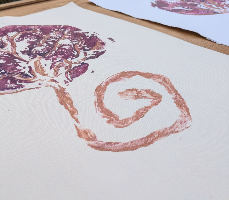 close up van twee placenta afdrukken die liggen te drogen op een plank. De afdrukken hebben paarse en gouden kleuren en zijn gemaakt met placenta pakket plum